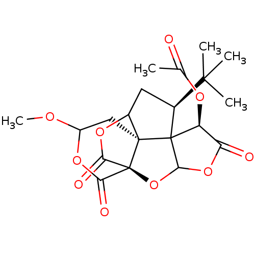 PNG