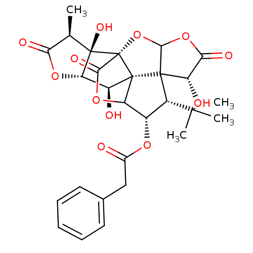 PNG