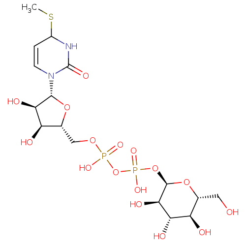 PNG