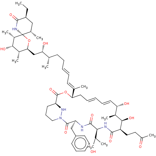 PNG