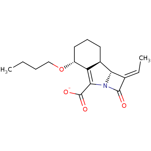 PNG