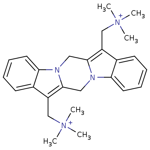 PNG