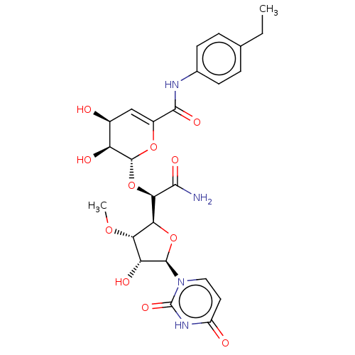 PNG