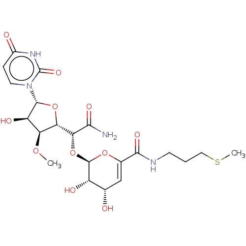 PNG
