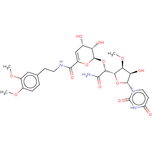 PNG