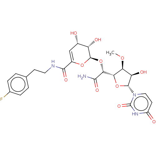PNG