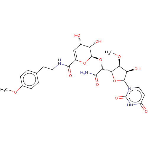 PNG