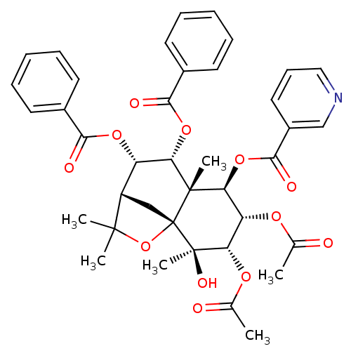 PNG