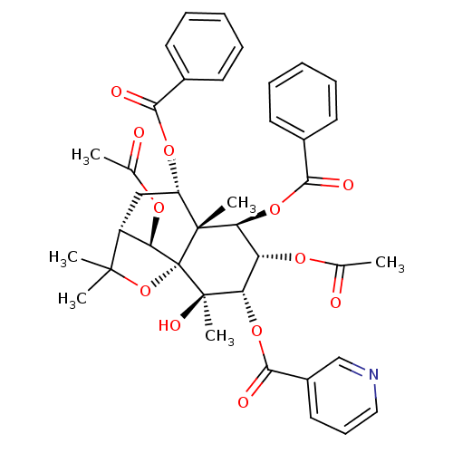 PNG