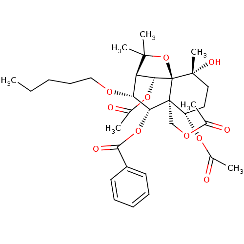 PNG
