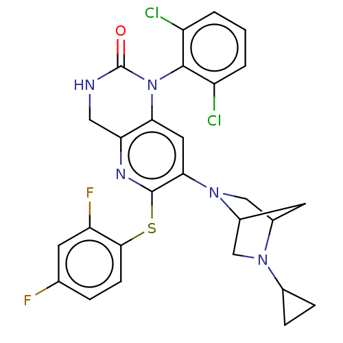 PNG