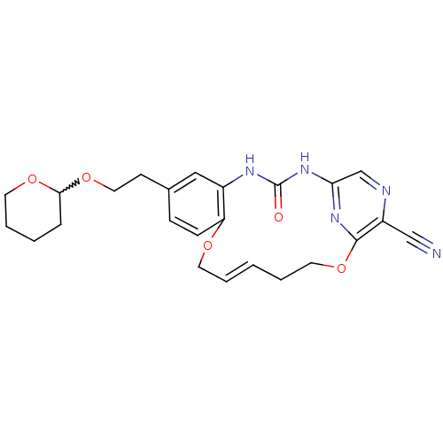 PNG