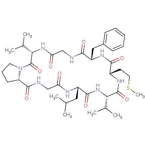 PNG