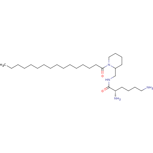 PNG