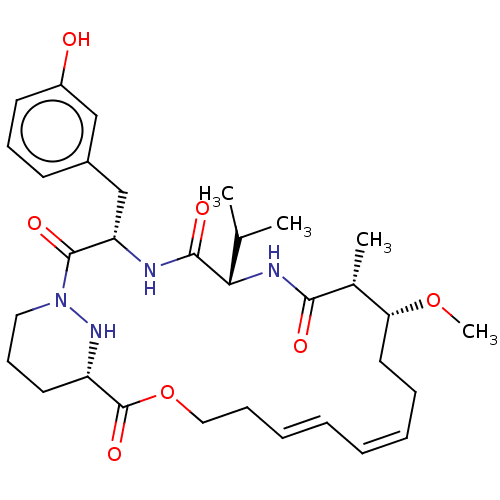 PNG