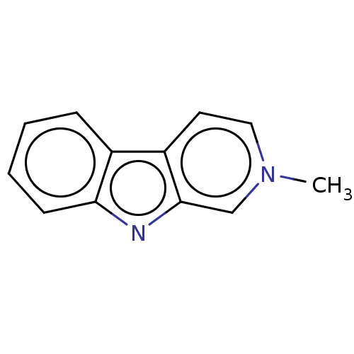 PNG