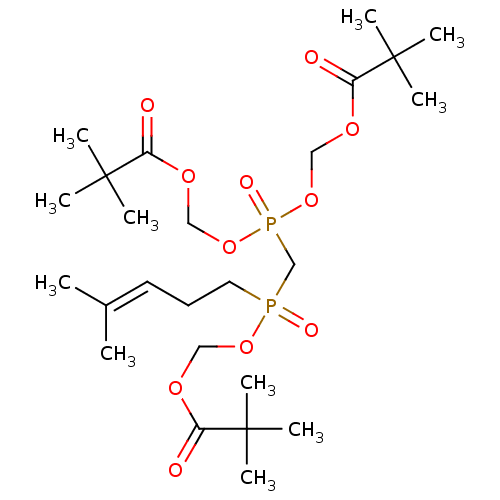 PNG