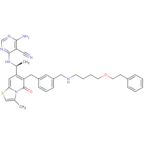 PNG