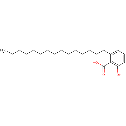 PNG