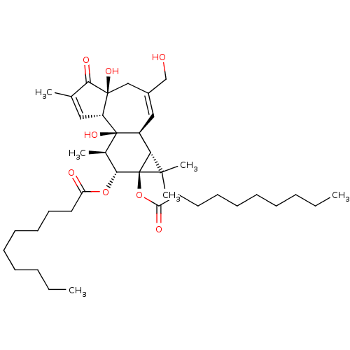 PNG