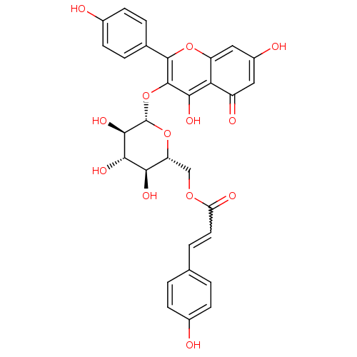 PNG