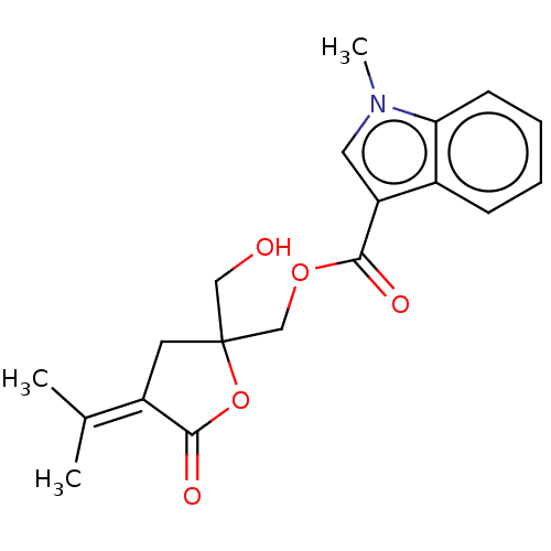 PNG