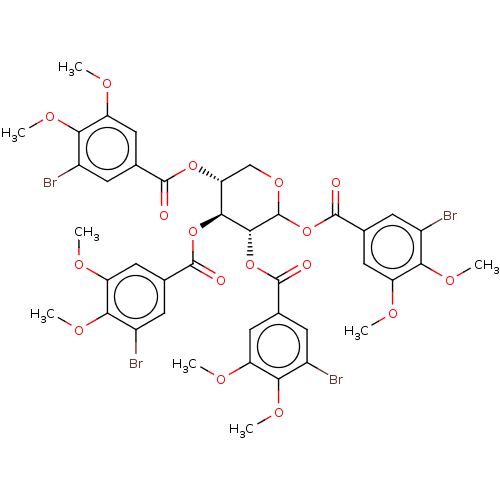 PNG