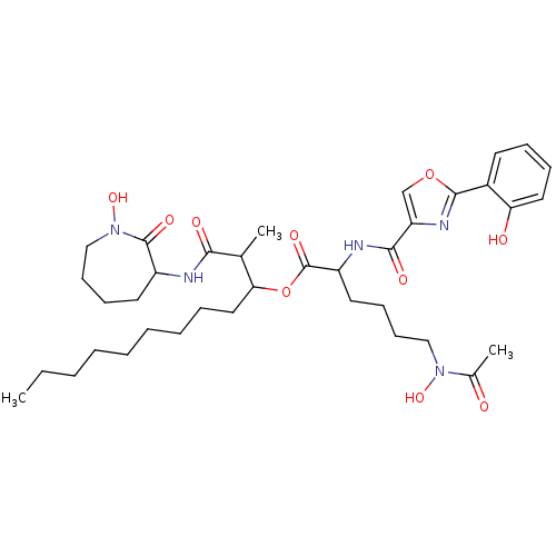 PNG