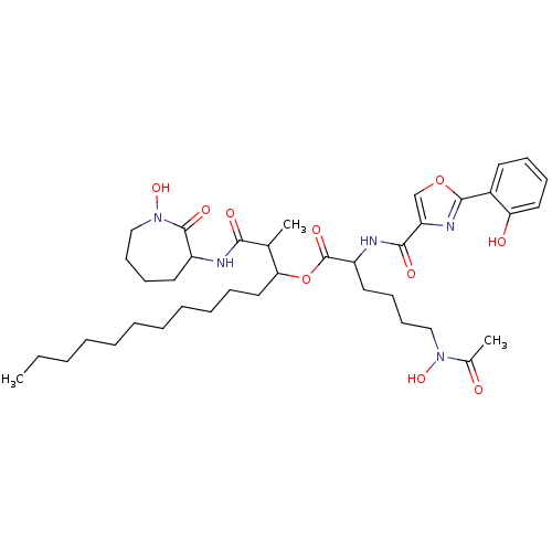 PNG