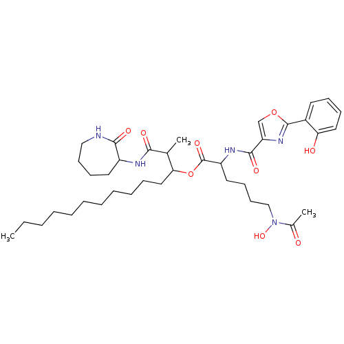 PNG