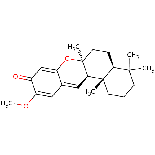 PNG