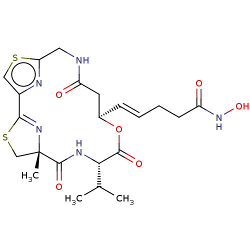 PNG