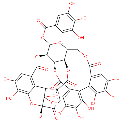 PNG