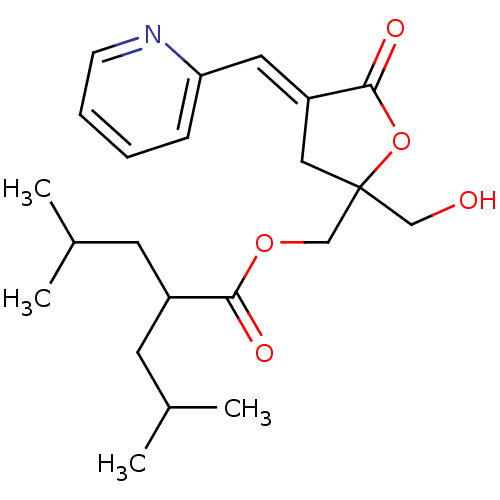 PNG