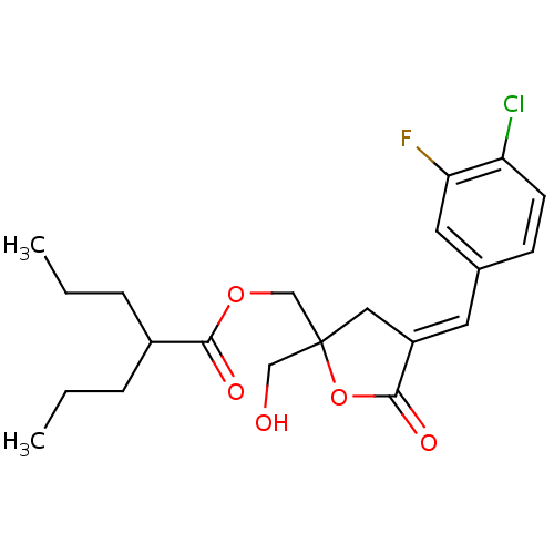 PNG
