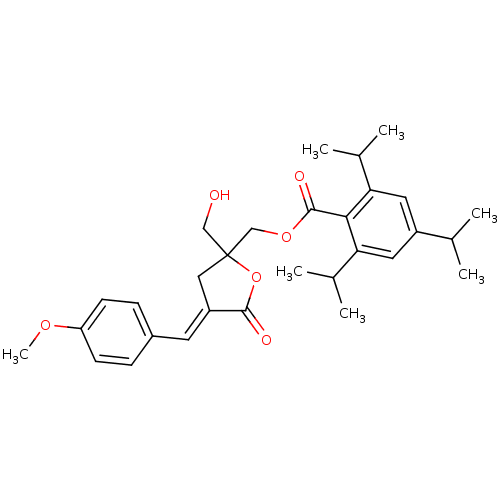 PNG