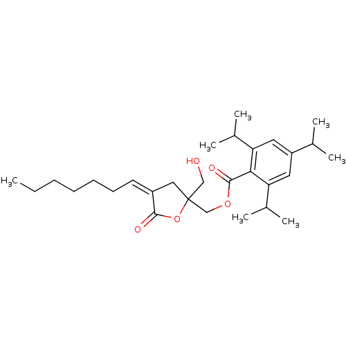 PNG