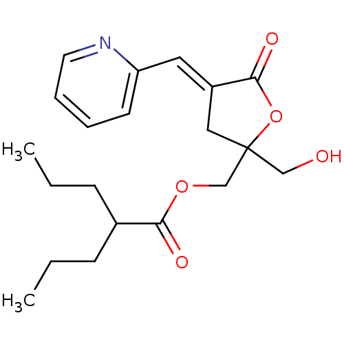 PNG