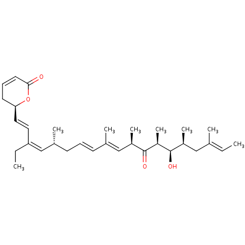 PNG