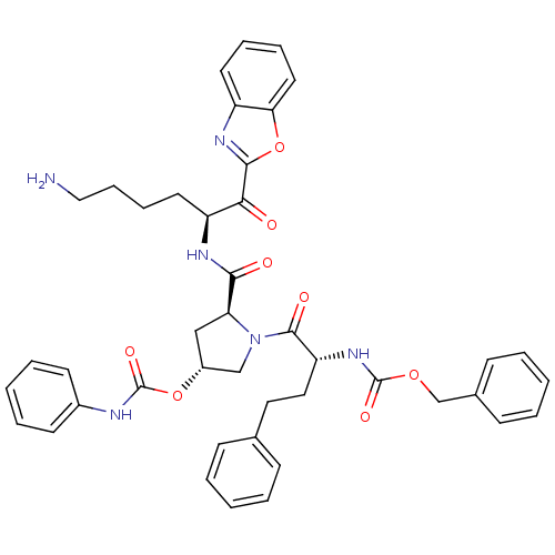 PNG