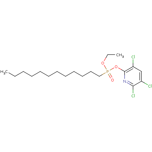 PNG