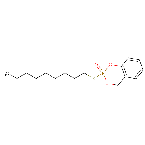 PNG