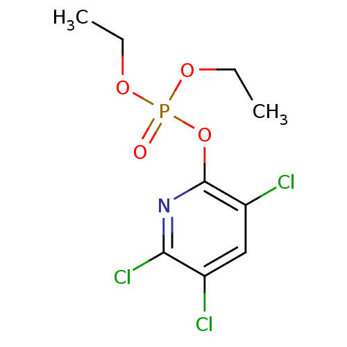 PNG