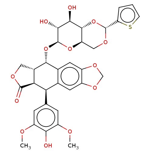 PNG