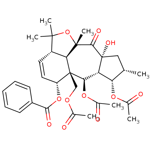 PNG