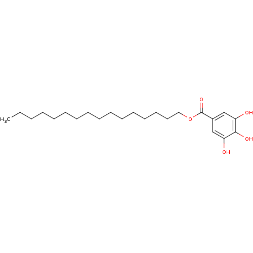 PNG