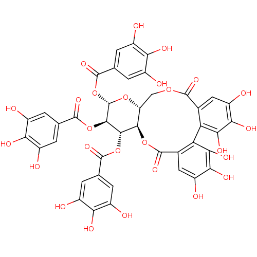 PNG