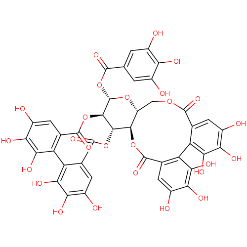 PNG