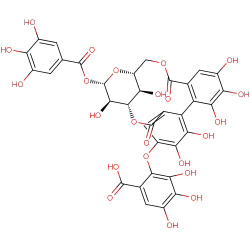 PNG
