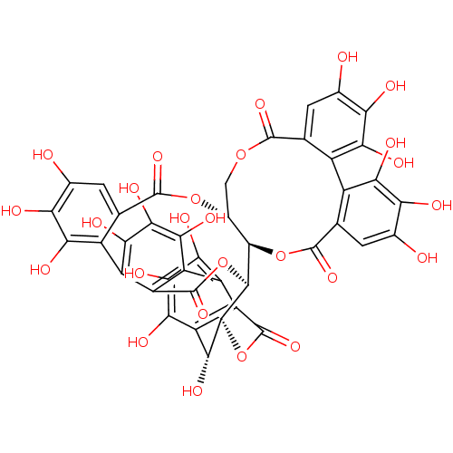 PNG